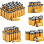 Amazon Basics Alkaline Battery Super Value Pack