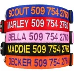 GoTags Personalized Dog Collar